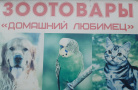 Домашний любимец (Сертолово)