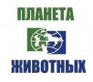 Планета животных