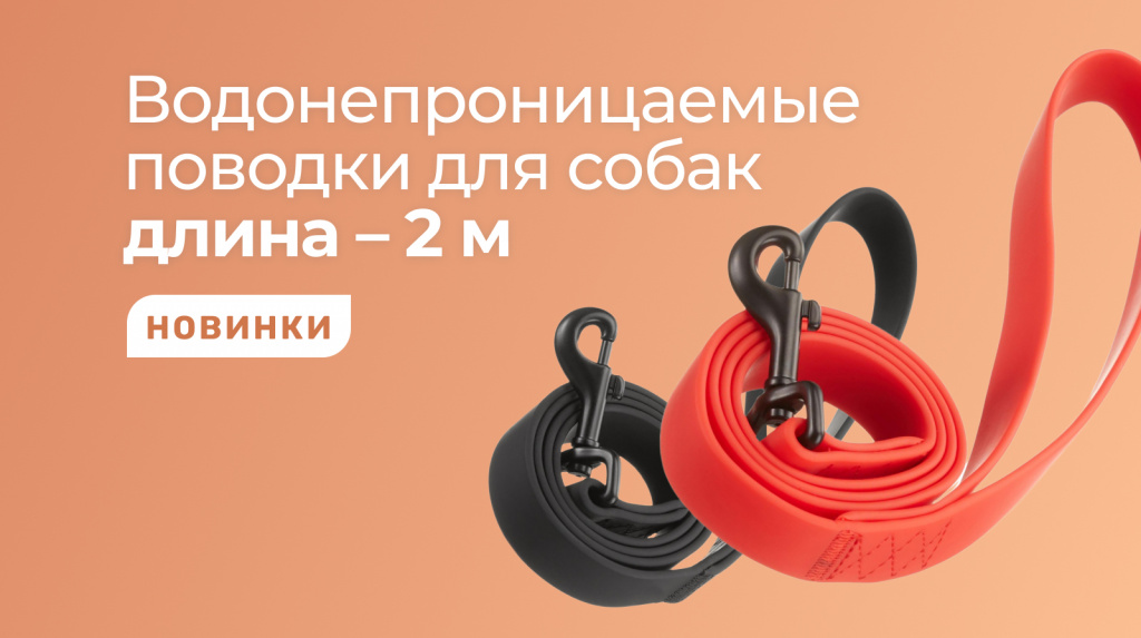 Новость 800х448 поводки.jpg