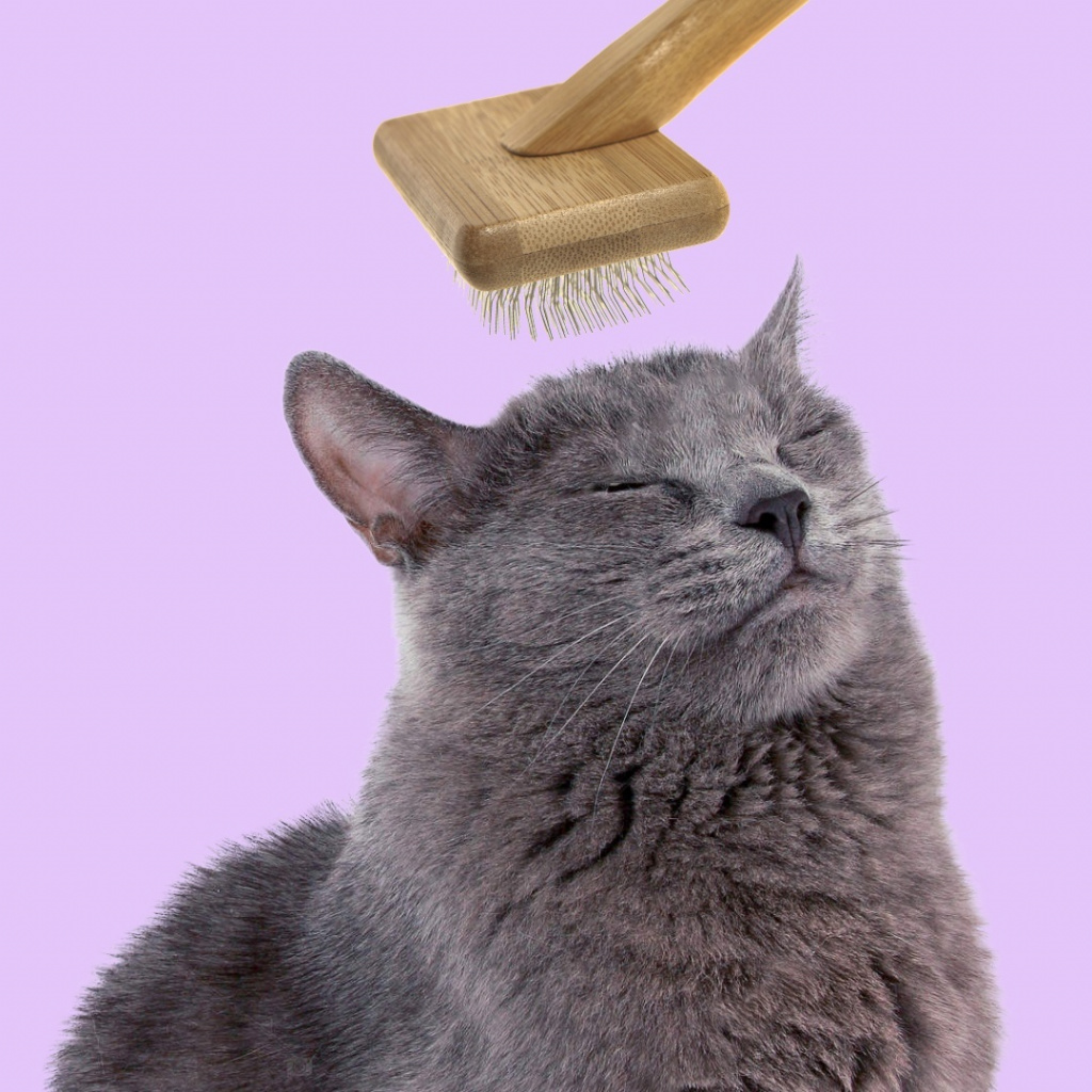 ILL9Ym9nn6g.jpg