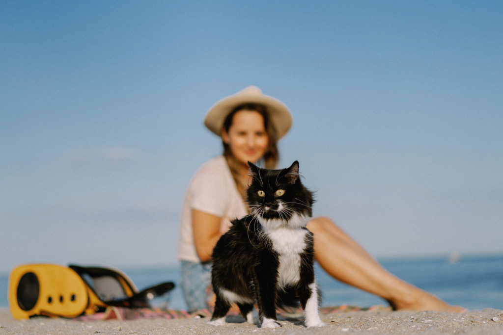 young-woman-with-cat-backpack-seashore-travel-concept-with-pet.jpg young-woman-with-cat-backpack-seashore-travel-concept-with-pet.jpg